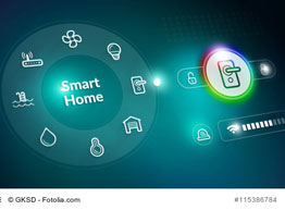 Smart Home Schutz Smart Home Schutz